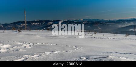 Vue de Wierch Wiselka près de Barania Gora colline dans les montagnes de Beskid Slaski en Pologne pendant une journée d'hiver incroyable avec ciel clair Banque D'Images