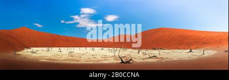 Panorama des dunes rouges et des arbres d'argousier morts à dos de chameau à Deadvlei, en Namibie Banque D'Images