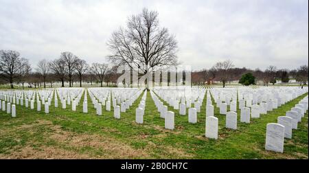 CIMETIÈRE d'Arlington, WASH D.C. - 31 JANVIER 2020: Cimetière national d'Arlington le 31 janvier 2020 à Washington D.C. Banque D'Images