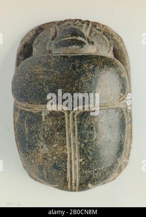 Carabée cardiaque, 8 lignes, DB 30, phoque, scarab, pierre (grise), 5 cm, Egypte Banque D'Images