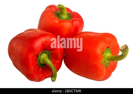 image de trois poivrons rouges sur fond blanc Banque D'Images