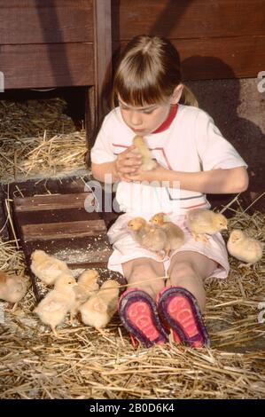 jeune fille assise dans une maison de poule entourée par beaucoup de poussins de bébé Banque D'Images