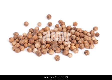 Graines de coriandre du tas (Coriandrum sativum) isolées sur fond blanc. Aussi appelé Cilantro ou Dhania ou Malli. Utilisé dans la cuisine et pour donner un agréable Banque D'Images