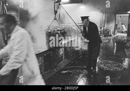 9/6/14 Billingsgate Fish Market 1981 Crab ébullition/vapeur Banque D'Images