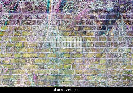 Vue rapprochée détaillée sur les murs en briques vieillis et recouverts de fissures Banque D'Images