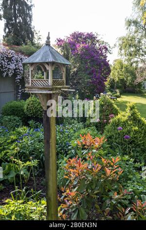 Service d'alimentation pour oiseaux dans le jardin ensoleillé du Suffolk Banque D'Images