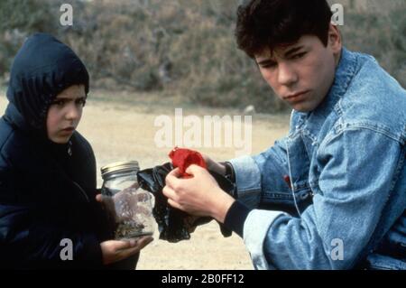 La Teta Y La Luna Année : 1994 Espagne / France Directeur : Bicas Luna Biel Duran, Miguel Poveda Banque D'Images