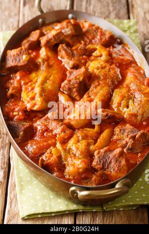 Recette de Khoresh Bademjan, un ragoût d'aubergine persane dans une sauce épaisse à base de tomate avec des morceaux de viande se rapprochées dans une poêle sur la table. Vertical Banque D'Images