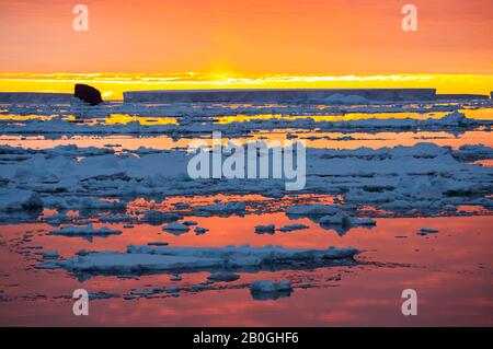 Glace de mer au large de l'île Beagle, une des îles de danger, au large de la pointe ne de la péninsule antarctique dans la mer de Weddell au coucher du soleil. Banque D'Images