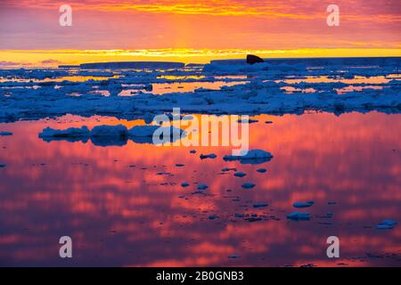 Glace de mer au large de l'île Beagle, une des îles de danger, au large de la pointe ne de la péninsule antarctique dans la mer de Weddell au coucher du soleil. Banque D'Images