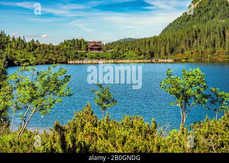 Vue panoramique sur le lac de montagne Morskie Oko entourant la forêt de mélèze, de pins et d'épicéa avec la maison de refuge Schronisko przy Morskim Oku en arrière-plan Banque D'Images