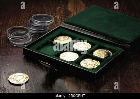 1 once de pièces de monnaie en or américain Buffalo dans une boîte à pièces sur fond de bois Banque D'Images