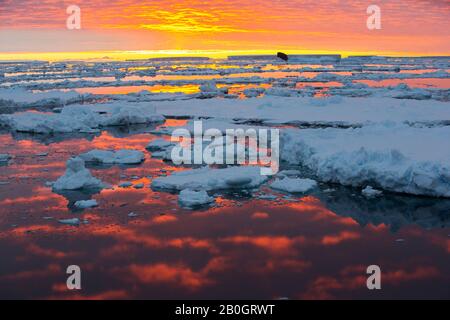 Glace de mer au large de l'île Beagle, une des îles de danger, au large de la pointe ne de la péninsule antarctique dans la mer de Weddell au coucher du soleil. Banque D'Images