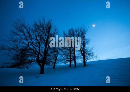 Fée hiver nuit paysage avec neige et lune dans une colline de montagne Banque D'Images