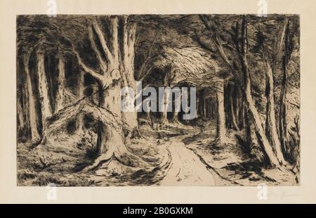 Carel Nicolaas Storm van's Gravesande, néerlandais, 1841–1924, chemin forestier, c. 1885, gravure, gravure sur papier japonais et point sec, image : 10 9/16 x 17 7/16 po. (26,8 x 44,3 cm) Banque D'Images