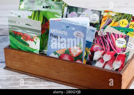 Paquets de graines de légumes et de fleurs dans une boîte en bois. ROYAUME-UNI Banque D'Images