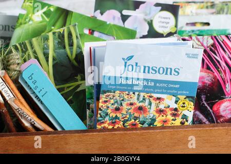 Paquets de graines de légumes et de fleurs dans une boîte en bois. ROYAUME-UNI Banque D'Images