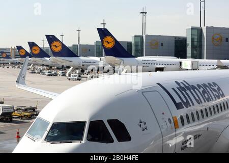 20.03.2019, Francfort-sur-le-Main, Hessen, Allemagne - avion Lufthansa à l'aéroport de Francfort. 00S190320D014CAROEX.JPG [AUTORISATION DU MODÈLE : NON, AUTORISATION DE PROPRIÉTÉ Banque D'Images