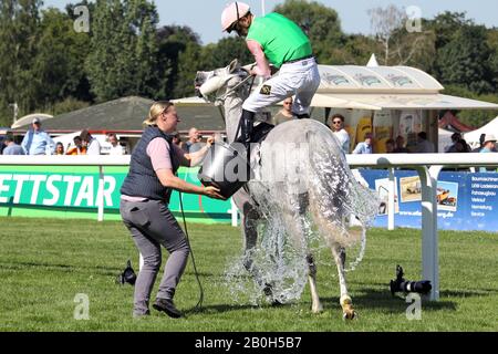 29.06.2019, Hambourg, Hambourg, Allemagne - le cheval est versé avec de l'eau à partir d'un seau en été chaud après la course. 00S190629D374CAROEX.JPG [VERSION DU MODÈLE Banque D'Images