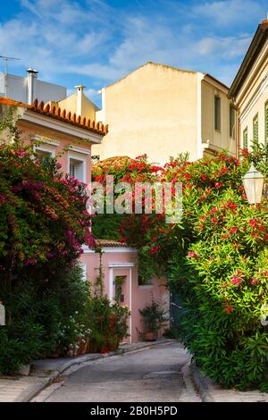 Rue avec beaucoup de fleurs dans le quartier Plaka d'Athènes, Grèce. Banque D'Images