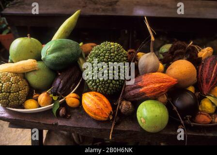 GRENADE, BAY GARDEN, FRUITS TROPICAUX ET ÉPICES, CACAO, NOIX DE MUSCADE, MANGUE, ETC Banque D'Images