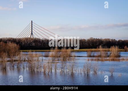 05.02.2020, Wesel, Rhénanie-du-Nord-Westphalie, Allemagne - Lippe, inondation dans la zone de plaine inondable où le fleuve Lippe coule dans le Rhin, Wit Banque D'Images