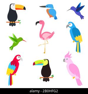 collection d'oiseaux tropicaux Illustration de Vecteur