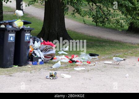 Des mouettes explorant des poubelles de trashcans trop pleins après le matin après la Parade de de la fierté Helsinki, Finlande, juin 2019. Des ordures et des oiseaux colorés. Banque D'Images