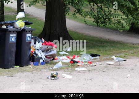 Des mouettes explorant des poubelles de trashcans trop pleins après le matin après la Parade de de la fierté Helsinki, Finlande, juin 2019. Des ordures et des oiseaux colorés. Banque D'Images