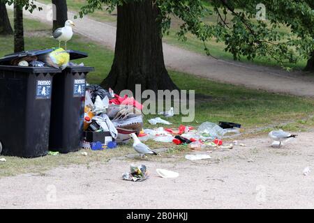 Des mouettes explorant des poubelles de trashcans trop pleins après le matin après la Parade de de la fierté Helsinki, Finlande, juin 2019. Des ordures et des oiseaux colorés. Banque D'Images