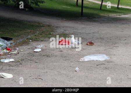 Des mouettes explorant des poubelles de trashcans trop pleins après le matin après la Parade de de la fierté Helsinki, Finlande, juin 2019. Des ordures et des oiseaux colorés. Banque D'Images