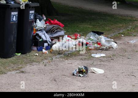 Des mouettes explorant des poubelles de trashcans trop pleins après le matin après la Parade de de la fierté Helsinki, Finlande, juin 2019. Des ordures et des oiseaux colorés. Banque D'Images