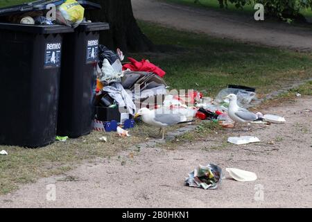 Des mouettes explorant des poubelles de trashcans trop pleins après le matin après la Parade de de la fierté Helsinki, Finlande, juin 2019. Des ordures et des oiseaux colorés. Banque D'Images