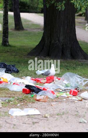 Des mouettes explorant des poubelles de trashcans trop pleins après le matin après la Parade de de la fierté Helsinki, Finlande, juin 2019. Des ordures et des oiseaux colorés. Banque D'Images