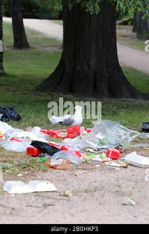 Des mouettes explorant des poubelles de trashcans trop pleins après le matin après la Parade de de la fierté Helsinki, Finlande, juin 2019. Des ordures et des oiseaux colorés. Banque D'Images