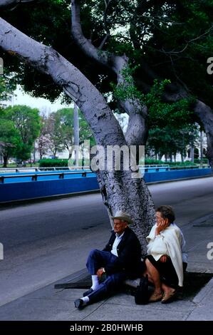 CUBA, LA VIEILLE HAVANE, SCÈNE DE RUE AVEC UN VIEUX COUPLE ASSIS SOUS L'ARBRE Banque D'Images