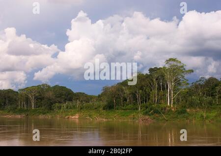 PÉROU, BASSIN AMAZONIEN, RIVIÈRE UCAYALI, FORÊT TROPICALE Banque D'Images