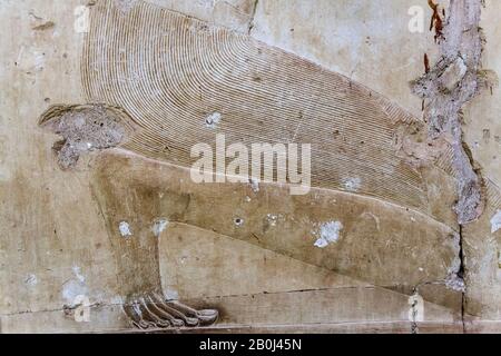 Détail de shendyt dans un bas-relief mur sculptant dans le Temple de Seti I à Abydos Banque D'Images