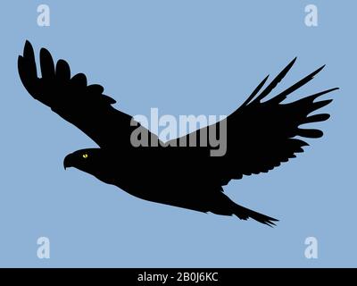 Eagle Vector, Abstract Vector illustration de l'aigle Illustration de Vecteur