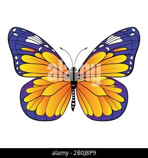 Papillon coloré sur fond blanc illustration vectorielle Illustration de Vecteur