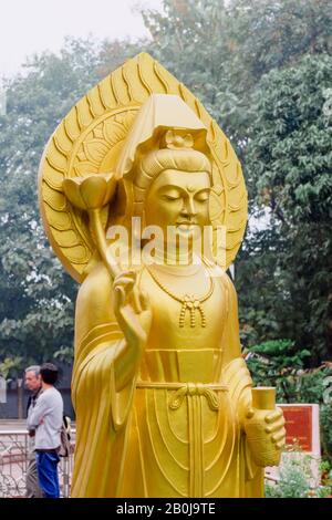 Statue dorée de Bouddha avec une fleur de lotus. Sarnath près de Varanasi. Inde Banque D'Images