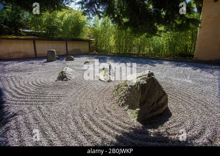 Jardin en pierre - partie du jardin japonais à Kaiserslautern. Cerisier - maintenant ! 20 Avril Banque D'Images