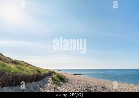 Paysage de plage d'été avec dune de sable, herbe de marram et eau bleue de la mer du Nord, sur l'île de Sylt, en Allemagne. Plage et soleil vides. Journée ensoleillée sur la plage Banque D'Images