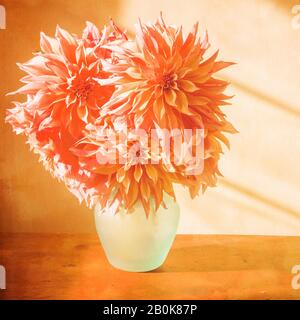 Dahlias orange avec un effet de texture rustique. Banque D'Images