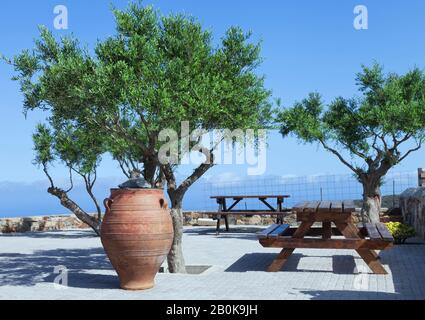 Tables de paillasse en bois entre vieux oliviers matures, pot décoratif en argile sur un patio ensoleillé pour un pique-nique en plein air. Banque D'Images