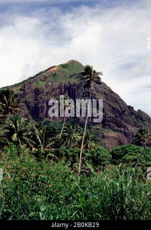 ÎLE DE PITCAIRN, VILLAGE, VUE SUR LA GROTTE DE CHRISTIAN ET LES PALMIERS À NOIX DE COCO Banque D'Images