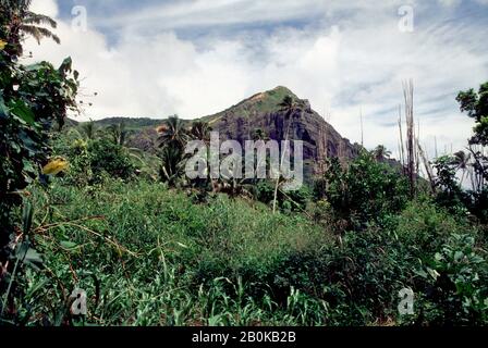 ÎLE DE PITCAIRN, VILLAGE, VUE SUR LA GROTTE DE CHRISTIAN ET LES PALMIERS À NOIX DE COCO Banque D'Images