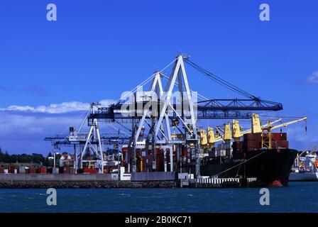 NOUVELLE-ZÉLANDE, ÎLE DU NORD, AUCKLAND, VUE SUR LE PORT, NAVIRE À CONTENEURS Banque D'Images