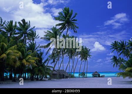 ÎLES COOK, ATOLL DE PALMERSTON, SCÈNE DE L'ÎLE TROPICALE AVEC HUTTES DE CHAUME ET PALMIERS À NOIX DE COCO Banque D'Images