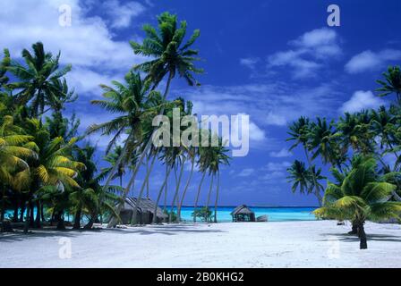 ÎLES COOK, ATOLL DE PALMERSTON, SCÈNE DE L'ÎLE TROPICALE AVEC HUTTES DE CHAUME ET PALMIERS À NOIX DE COCO Banque D'Images